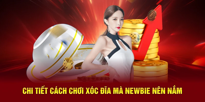 Chi tiết cách chơi Xóc Đĩa mà newbie nên nắm