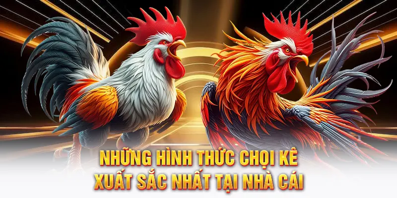 Những hình thức chọi kê xuất sắc nhất tại nhà cái 