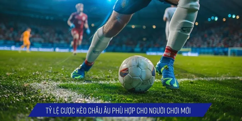 Tỷ lệ cược kèo châu Âu phù hợp cho người chơi mới